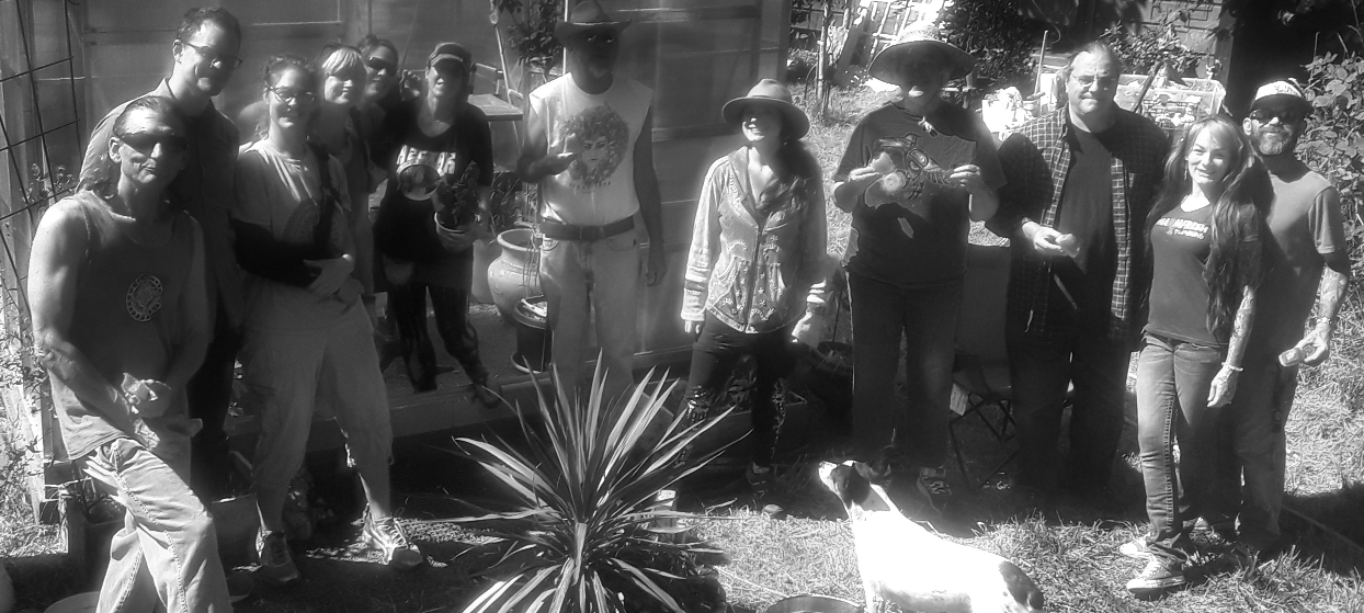 Volunteers