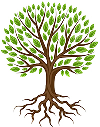 tree3-sm